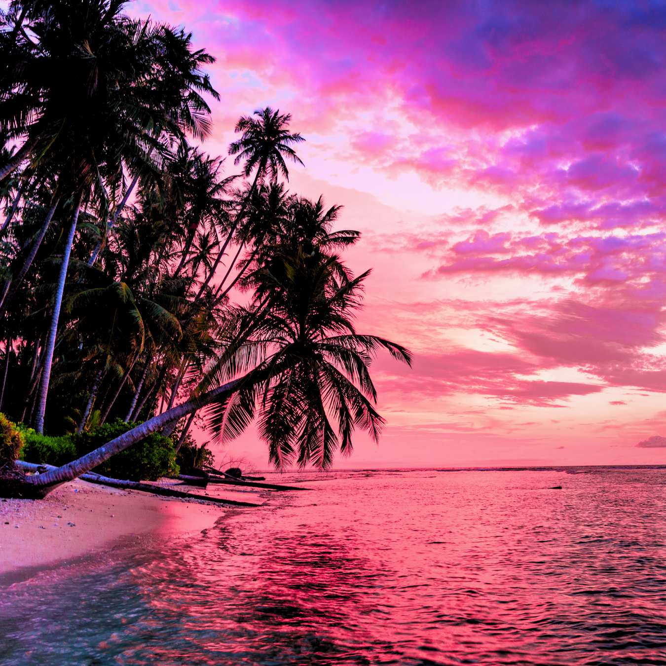 Sunset Bay Fragrance Oil