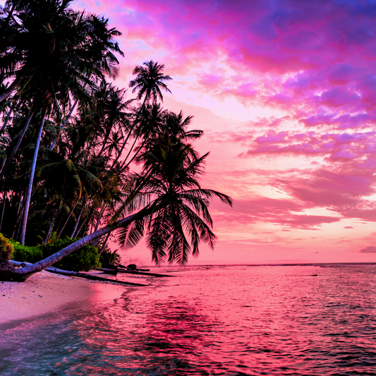 Sunset Bay Fragrance Oil